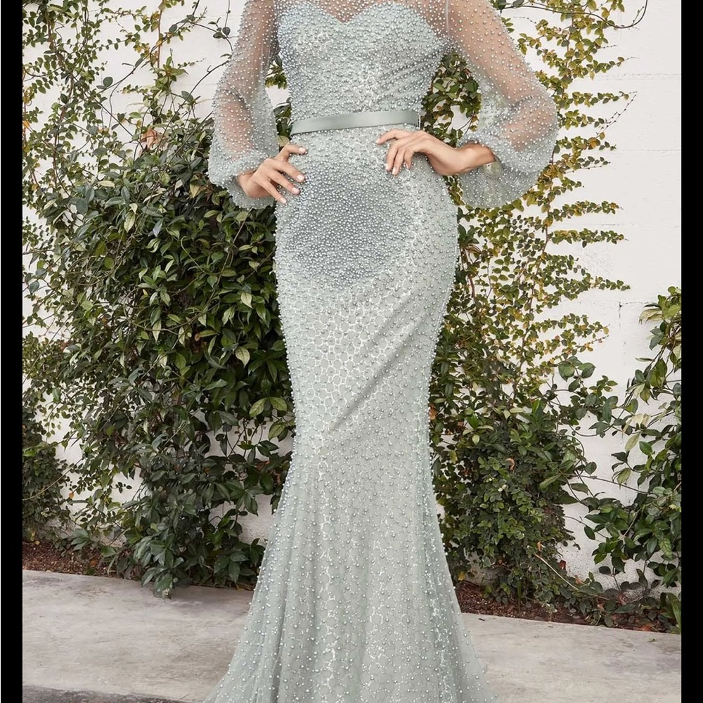 New Fully Pearled Evening gown. Mother of the Bride or Groom. Andrea & Leo